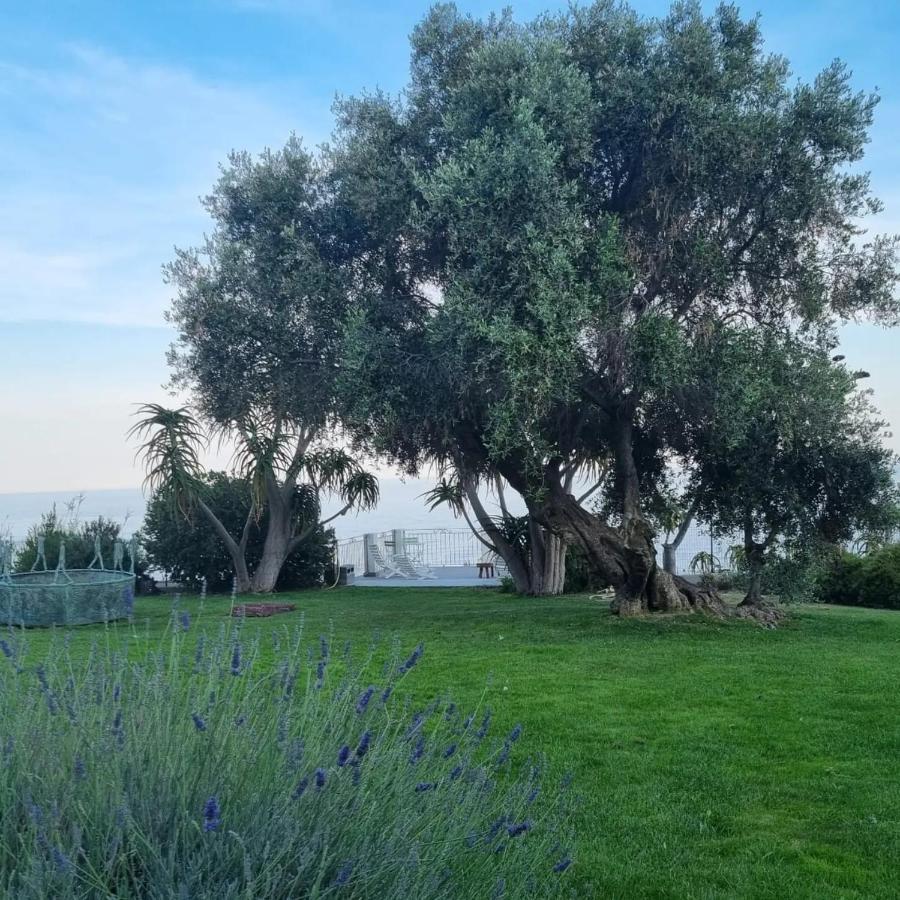 Agriturismo La Tuffatrice Imperia Luaran gambar