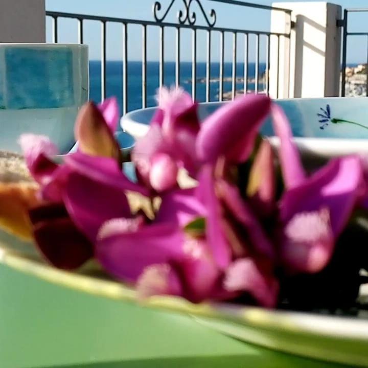 Agriturismo La Tuffatrice Imperia Luaran gambar