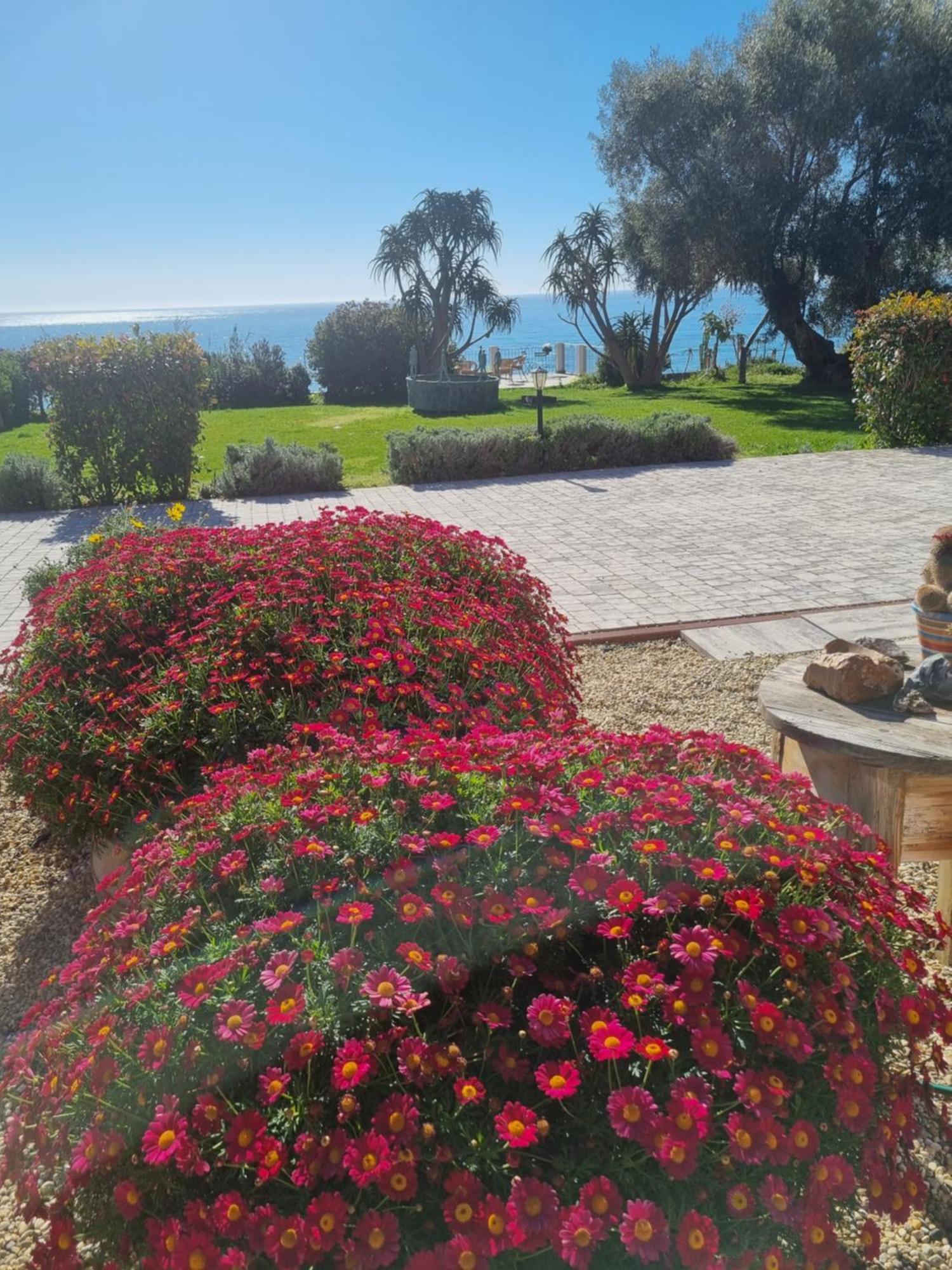 Agriturismo La Tuffatrice Imperia Bilik gambar