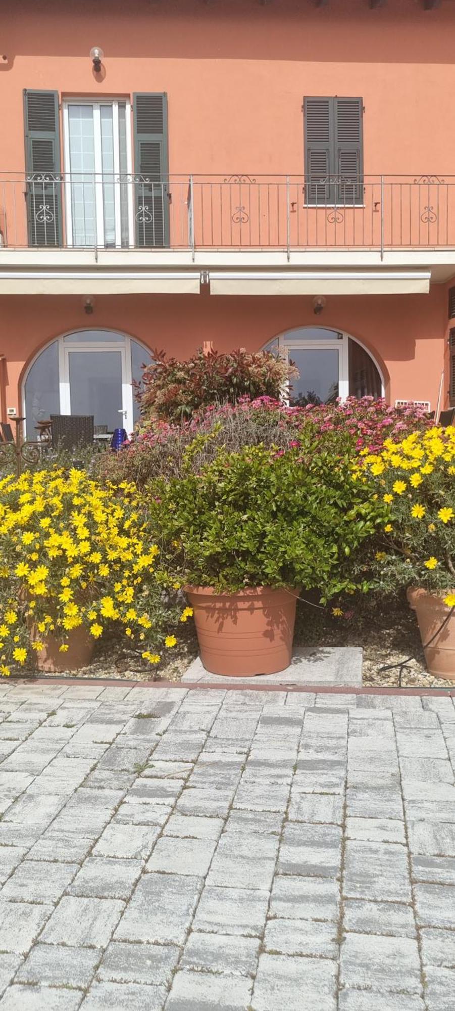 Agriturismo La Tuffatrice Imperia Luaran gambar