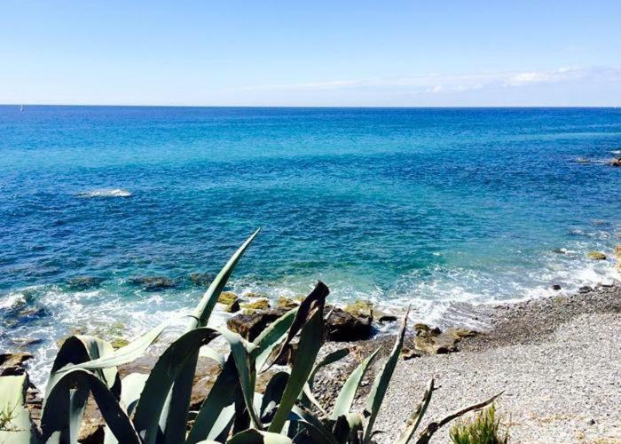 Agriturismo La Tuffatrice Imperia Luaran gambar